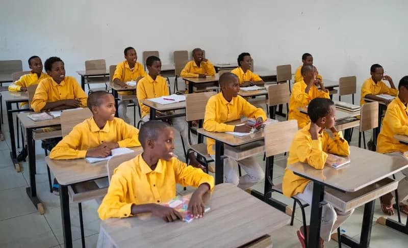 Drop the Gun, Pick Up the Pen